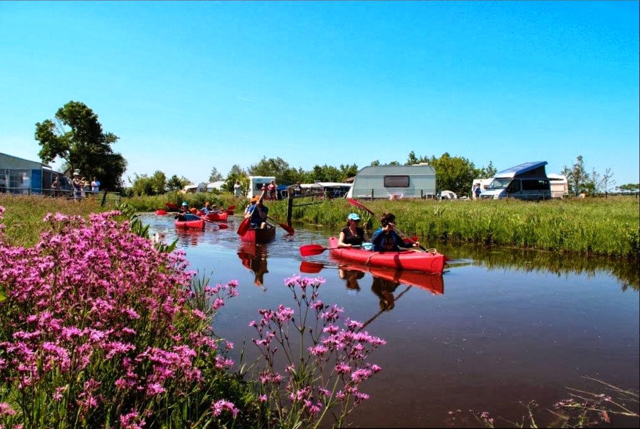 prachtige locatie voor logeren, rust, feesten, kanovaren en om te kamperen in Kwadijk