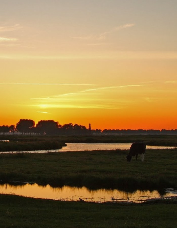 sfeervolle locatie, verblijven in het groen en de rust op een mooie locatie in Kwadijk, inspiratielocatie